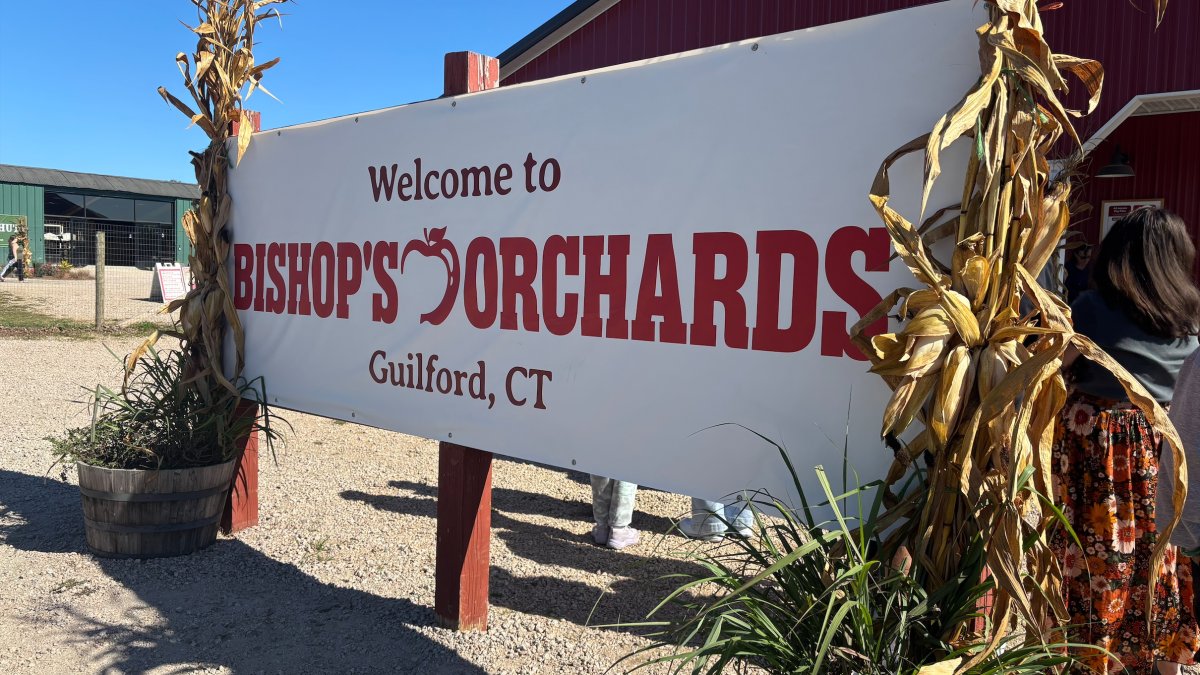 How the recent warm weather impacted the crop at Bishop's Orchards in Guilford