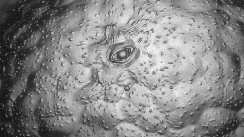 Robert Schmittling
of Hillsborough, North Carolina.
Eye of potato (stomate)
Oblique Lighting, Brightfield, Image Stacking
16X (Objective Lens Magnification)