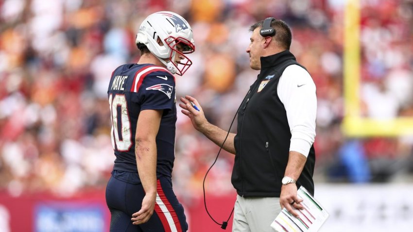 Mike Vrabel, Drake Maye