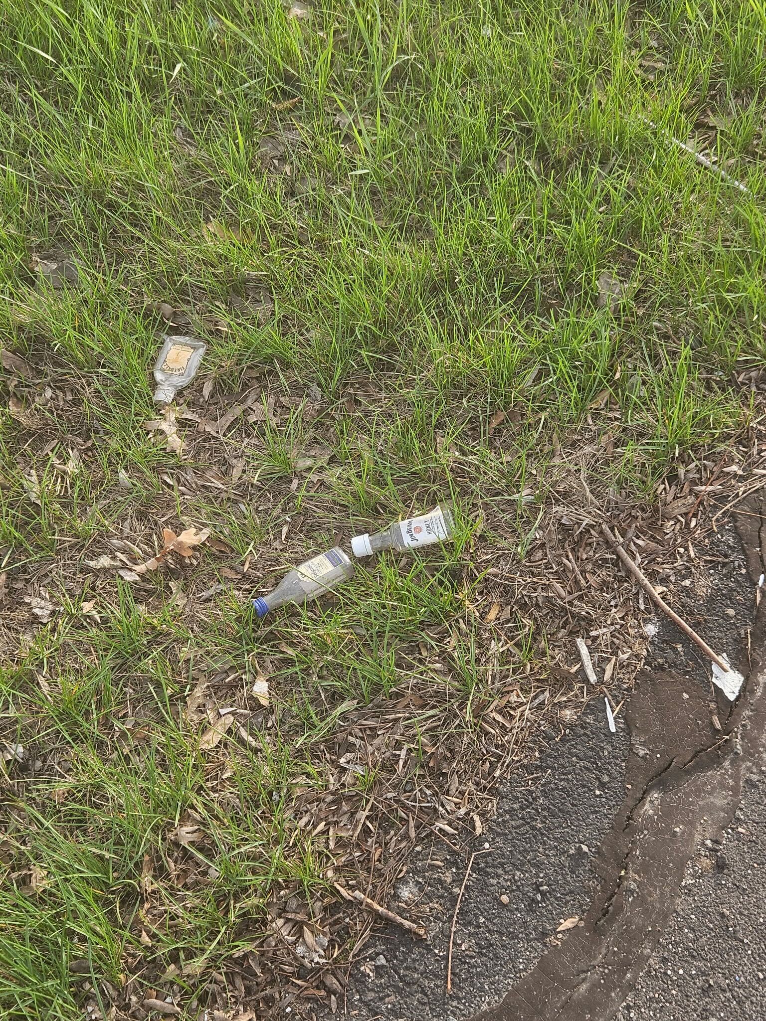 Could mini-liquor bottles be banned in Connecticut?