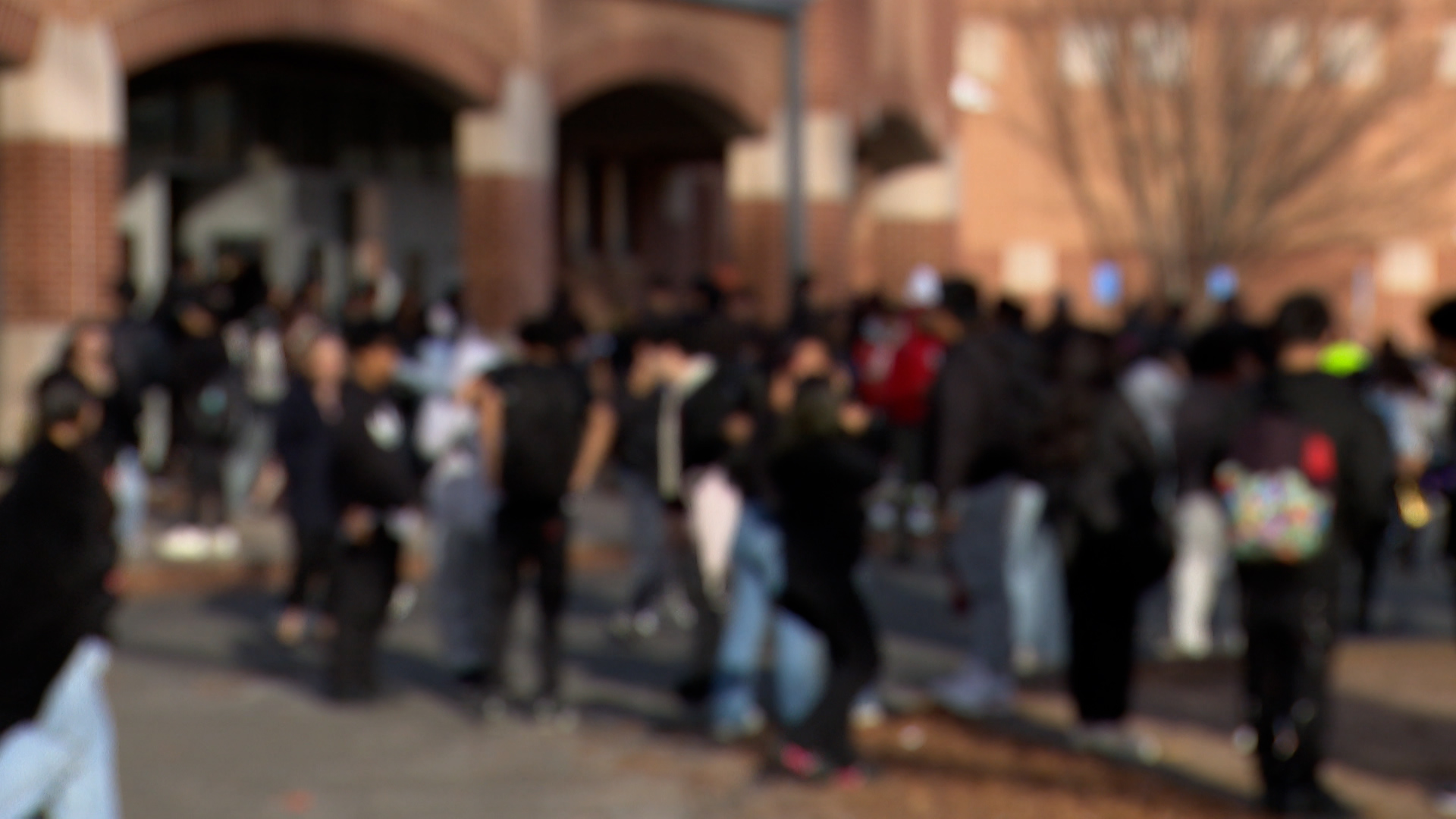 CT publishes guide to help school districts support multilingual learners