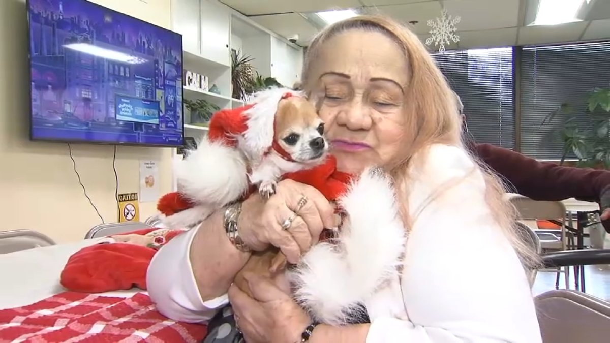 Senior Paws Program Senior Paws delivers gifts to seniors in need and their pets this ...