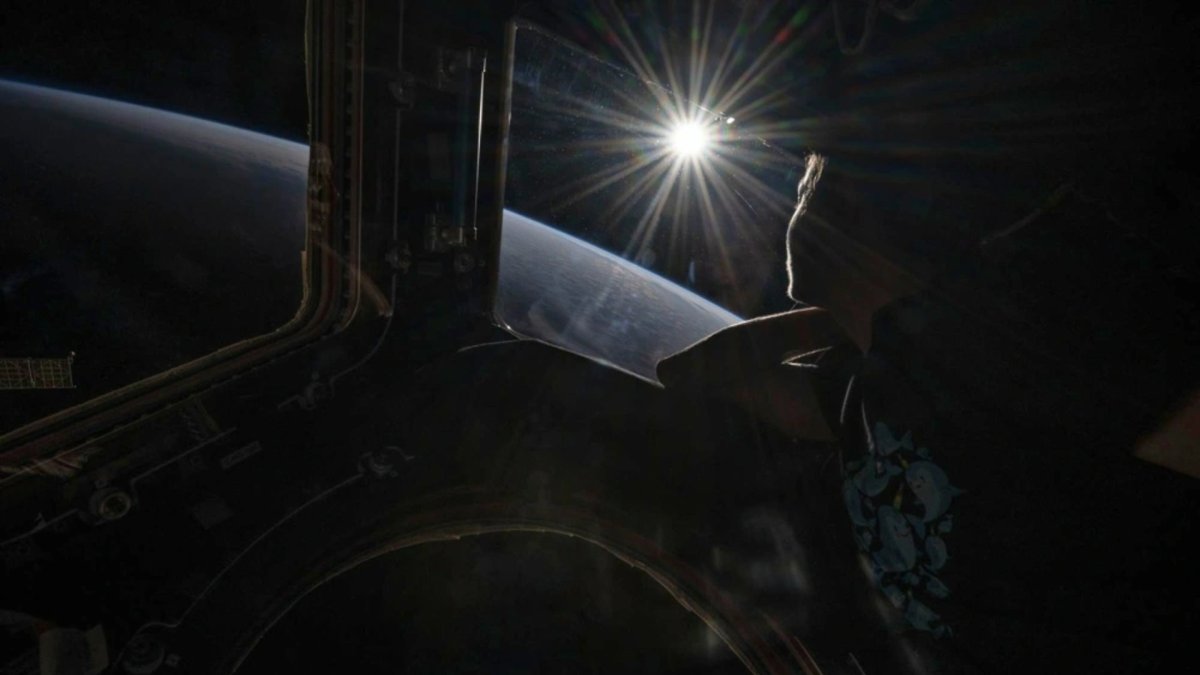 Space Shape Position Astronauts’ brains change shape and position after time in space, study ...