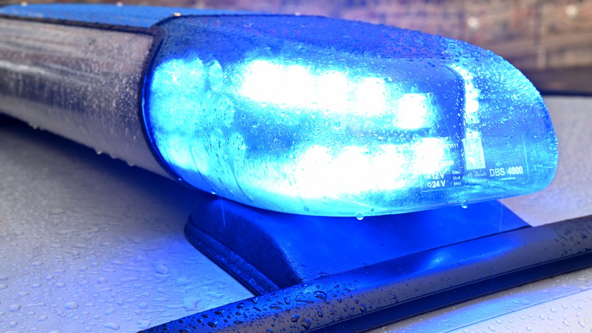 Months-long investigation results in two arrested over elaborate scams