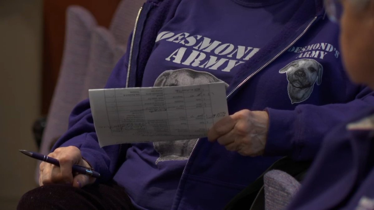 Calls for new Connecticut laws amid surge in animal abuse cases