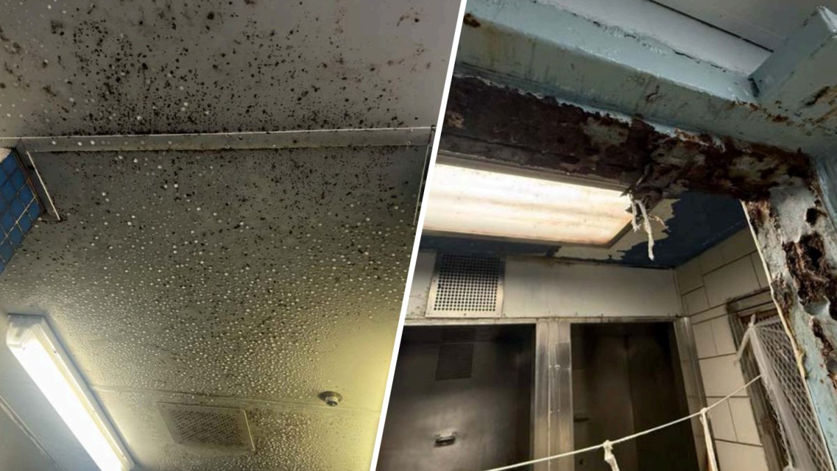 Report on Connecticut's corrections facilities finds ‘sustained institutional failure,' calls for legislative oversight