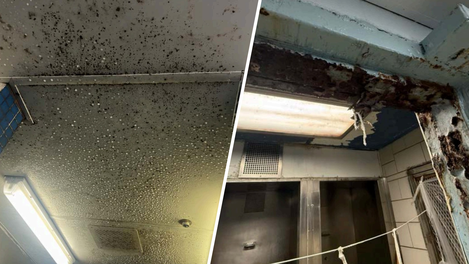 Report on Connecticut's corrections facilities finds ‘sustained institutional failure,' calls for legislative oversight