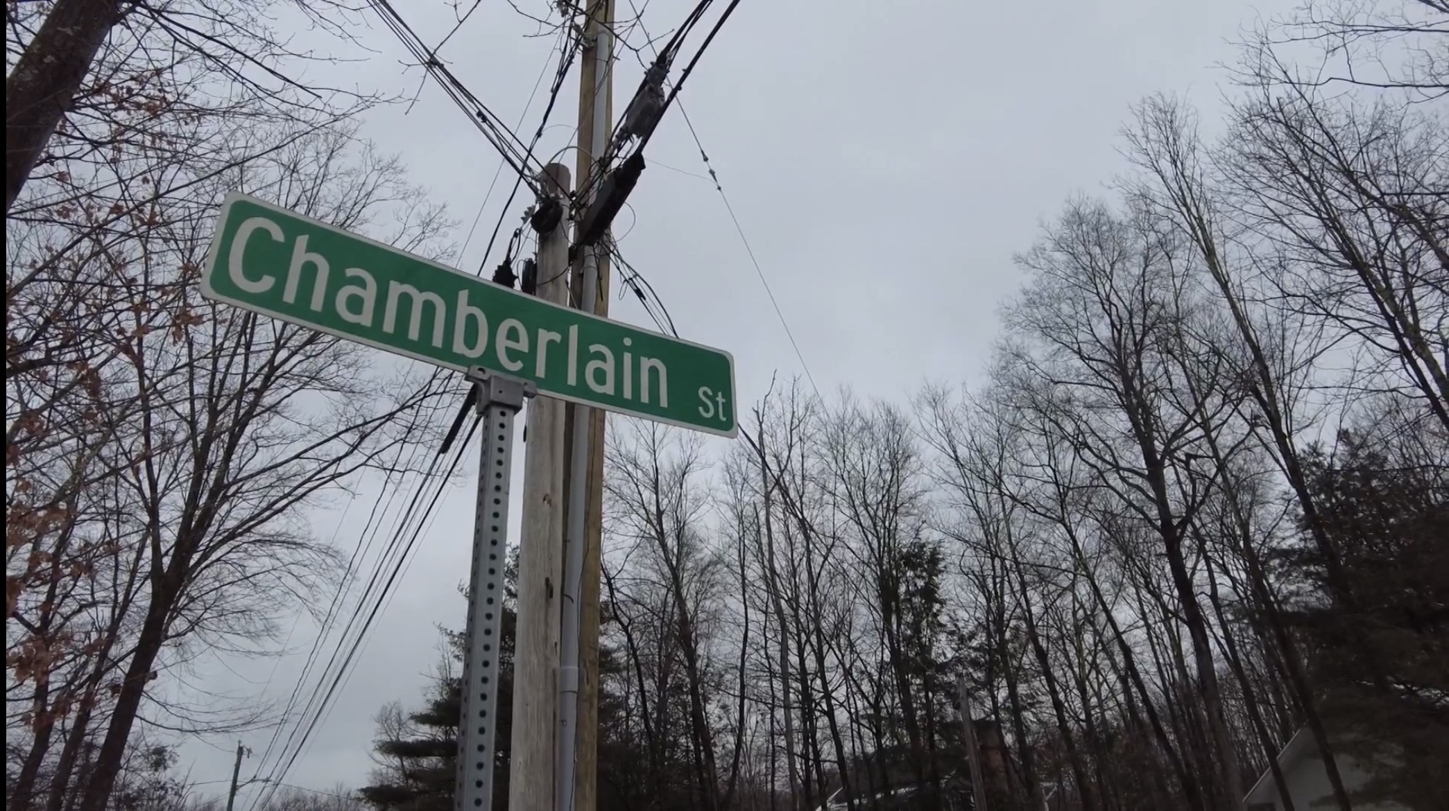 Bear attempts to make den under Torrington home, prompting safety reminders from DEEP