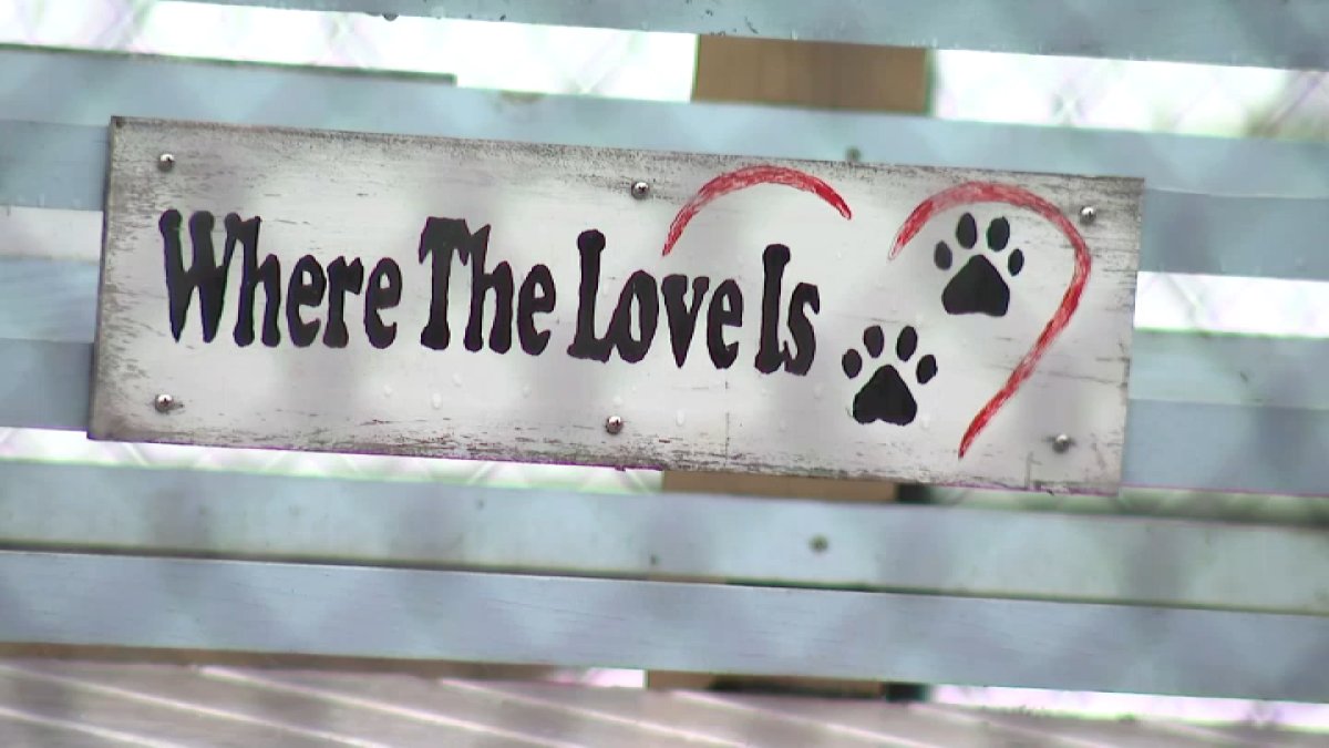 Hamden animal shelter gets major donation to help meet growing need