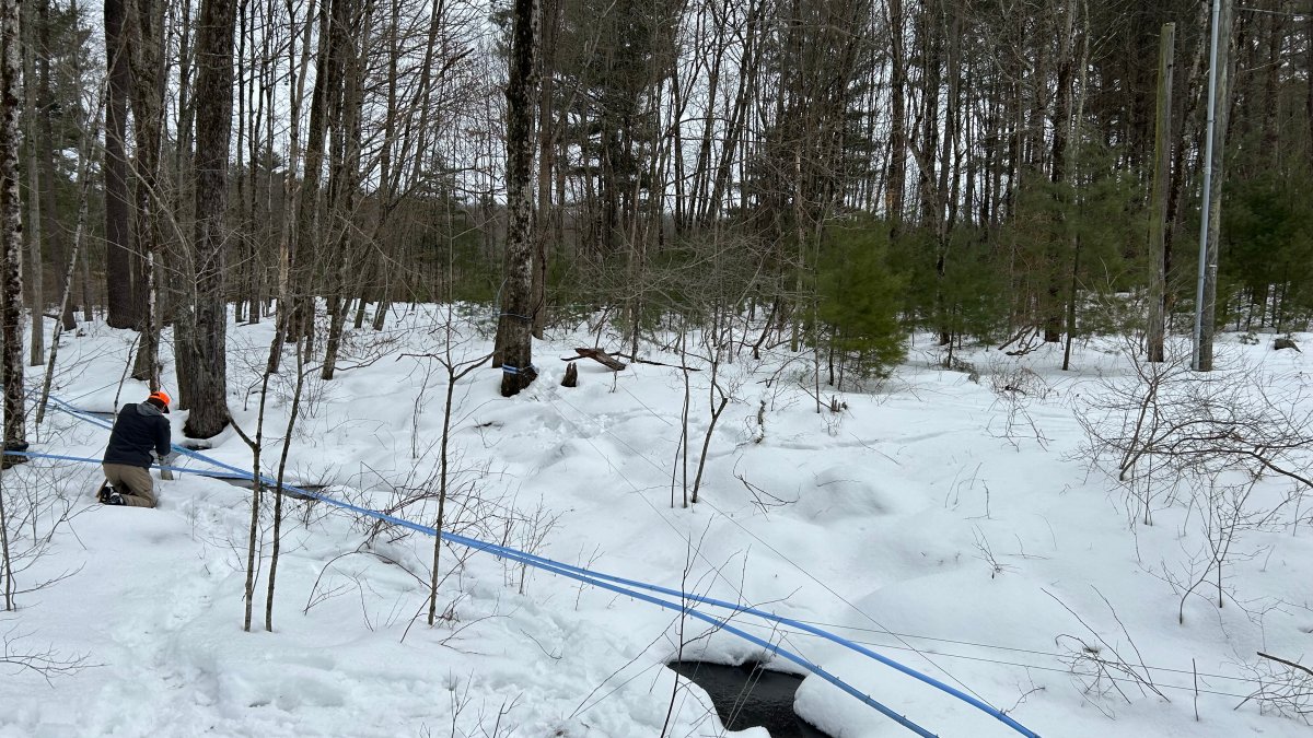 Yale program educates about New England tradition with modern environmental practice