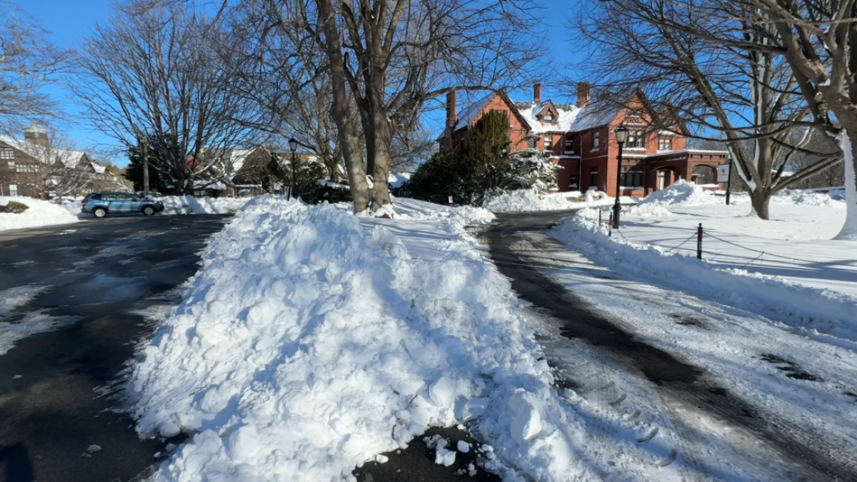 College student dies of carbon monoxide poisoning while charging phone in his car during blizzard
