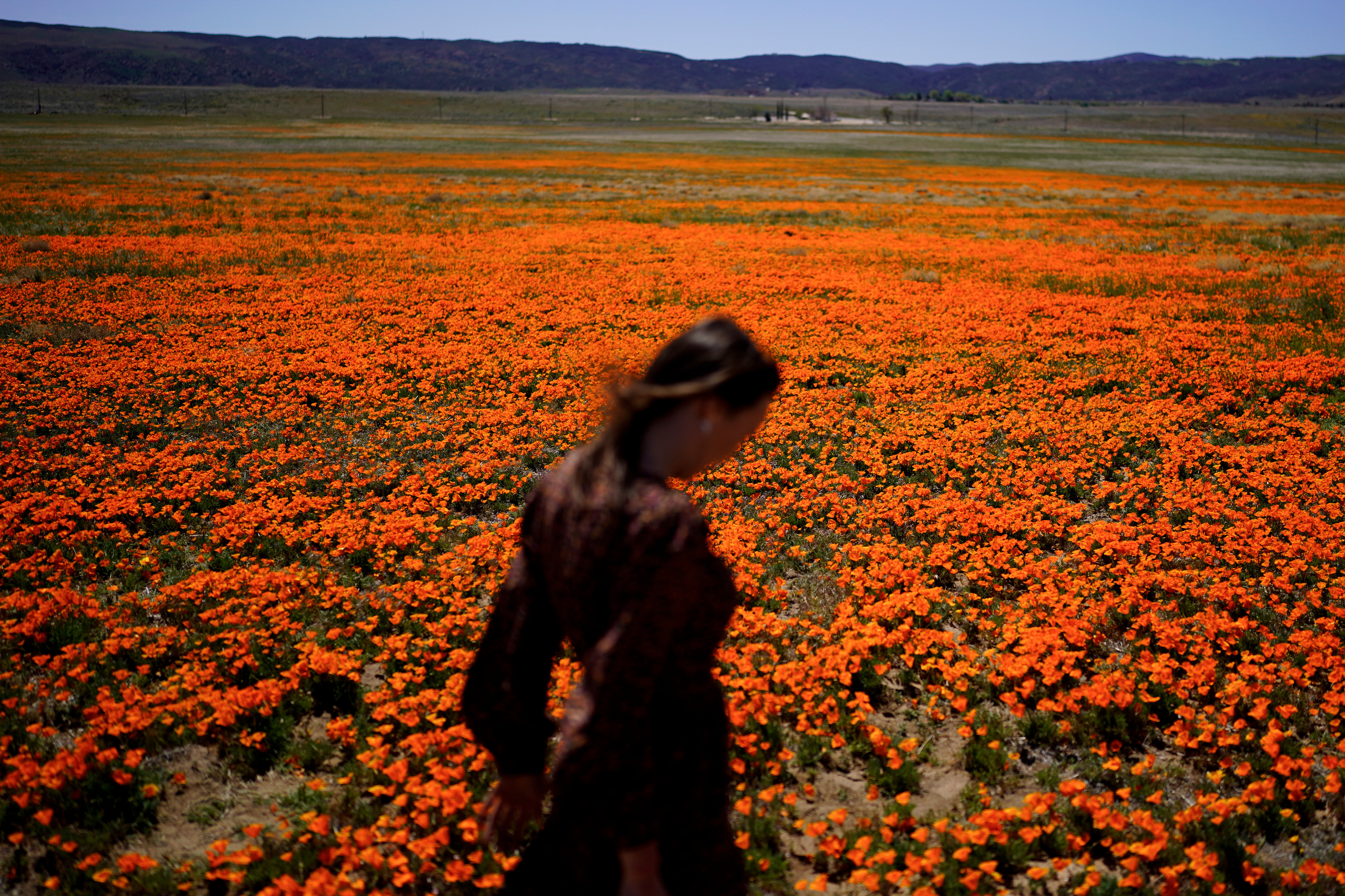 康州过敏季来袭：专家支招，助您安然度过