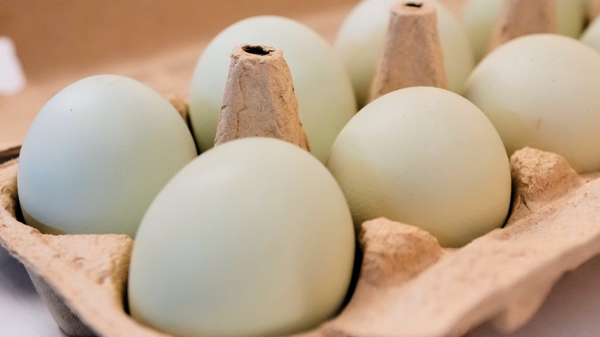 Eggs for Easter cost much less in the U.S. than last year. A look at the numbers
