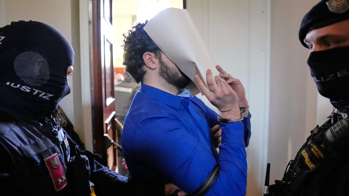 Man pleads guilty to plotting attack on a Taylor Swift concert in Vienna, according to local media