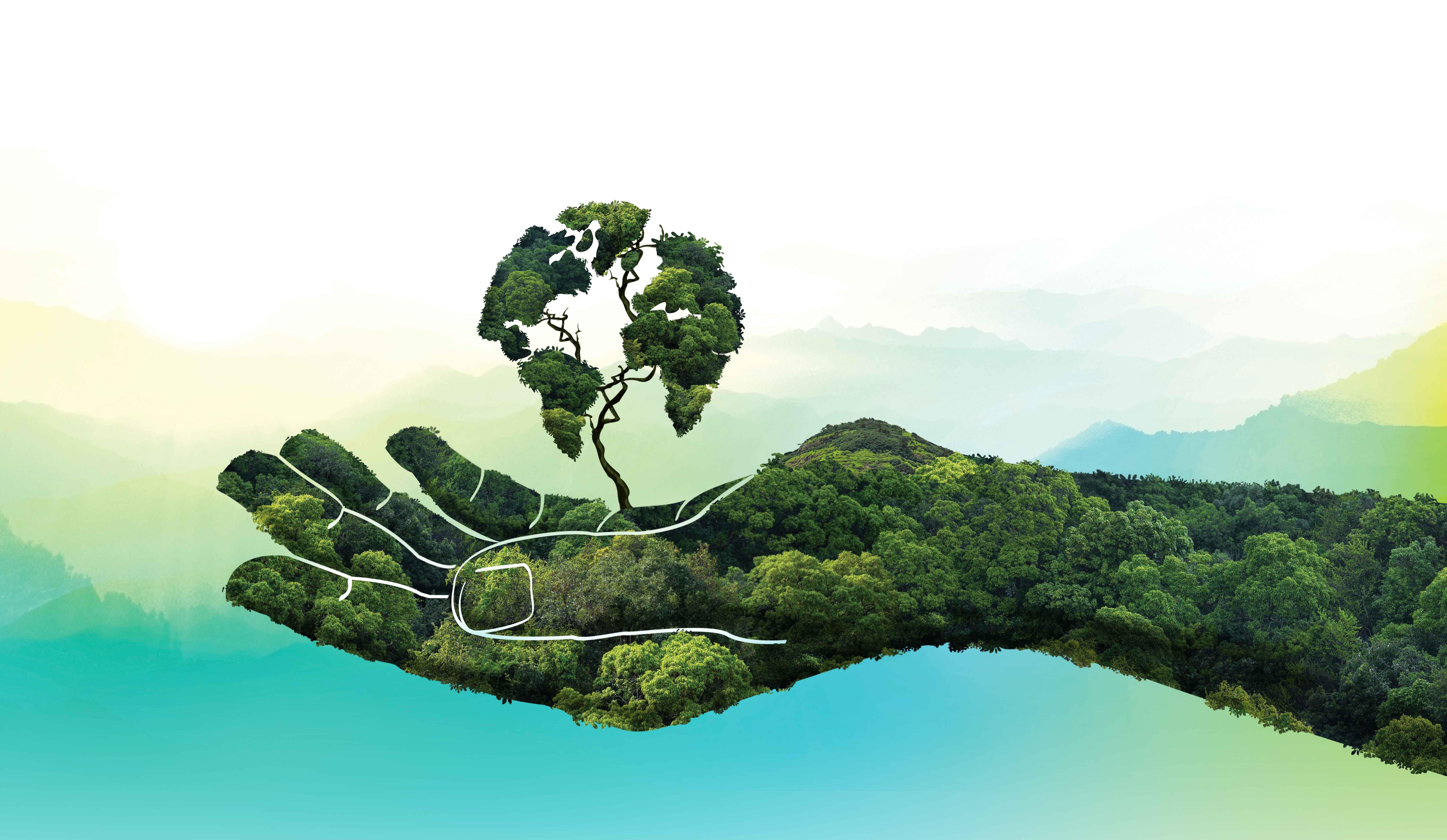 Earth Day 2026: History, day and this year’s theme – NBC Connecticut
