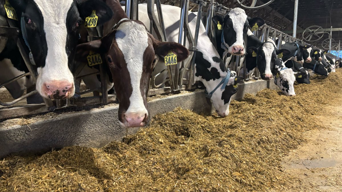 Soaring fertilizer prices from Iran war impacting Connecticut farmers