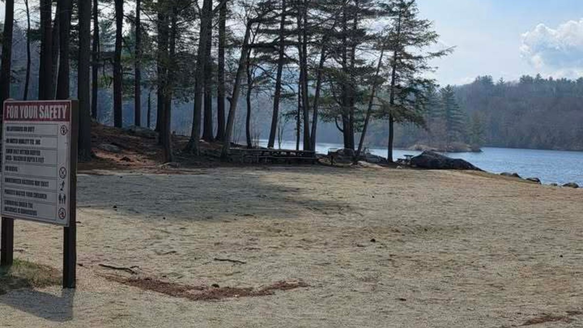 康州托灵顿发生林区火灾，消防员紧急扑救