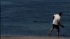 Mayor swears justice after video surfaces of man throwing rock at endangered seal in Hawaii