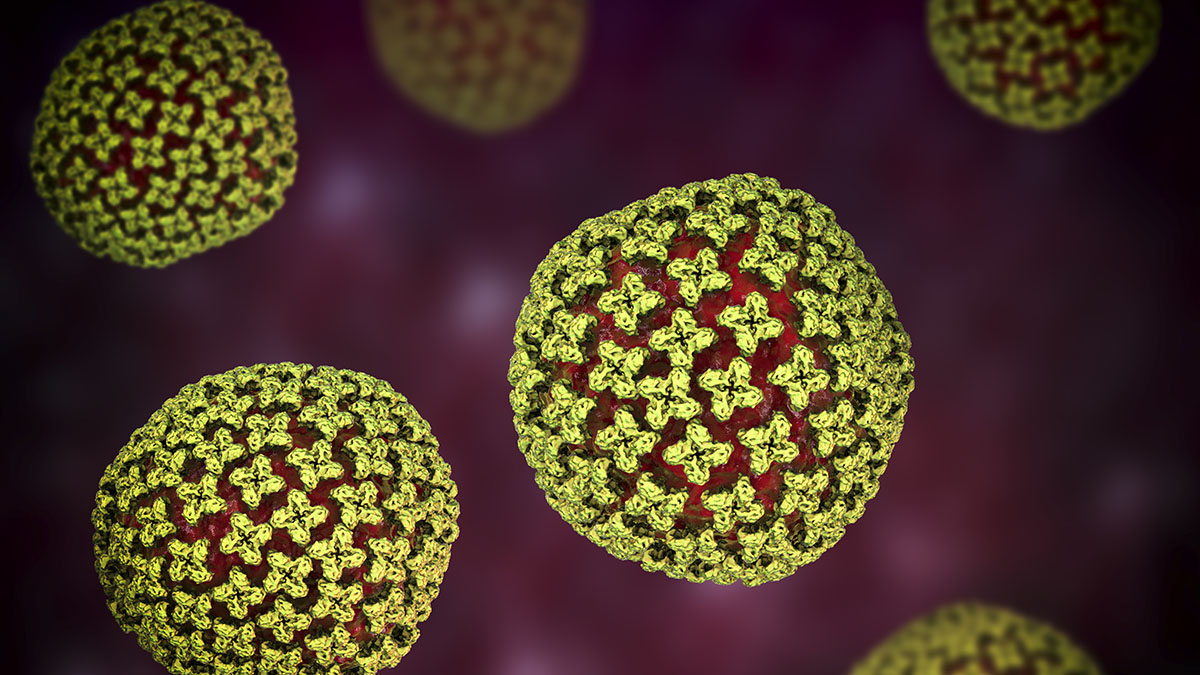 How hantavirus spreads: What to know about rare person-to-person transmission