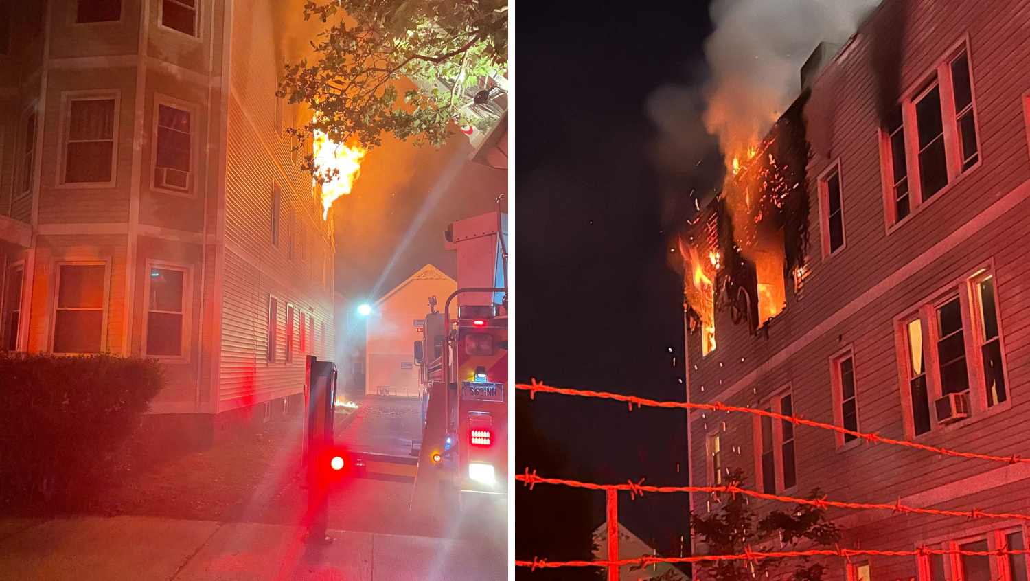 Dog killed in fire at multi-family home in New Haven