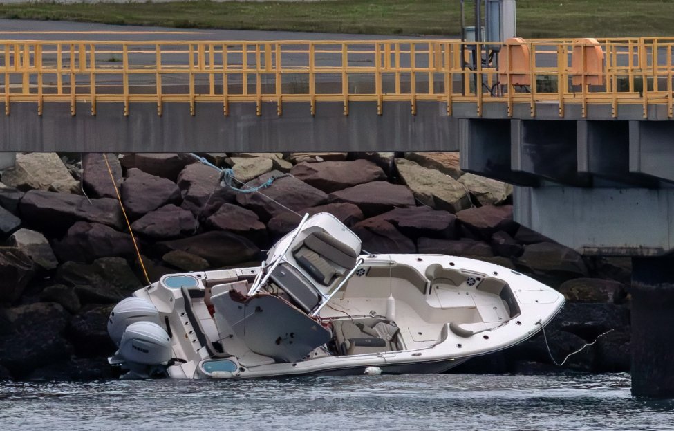 Elizabeth Dankert Killed In Boston Harbor Airport Pier Boat Crash NBC elizabeth-dankert-killed-in-boston-harbor-airport-pier-boat-crash-nbc