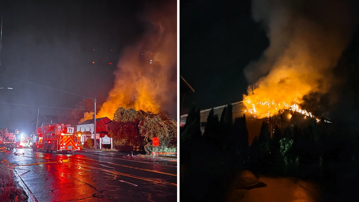 Fire damages multiple Branford businesses