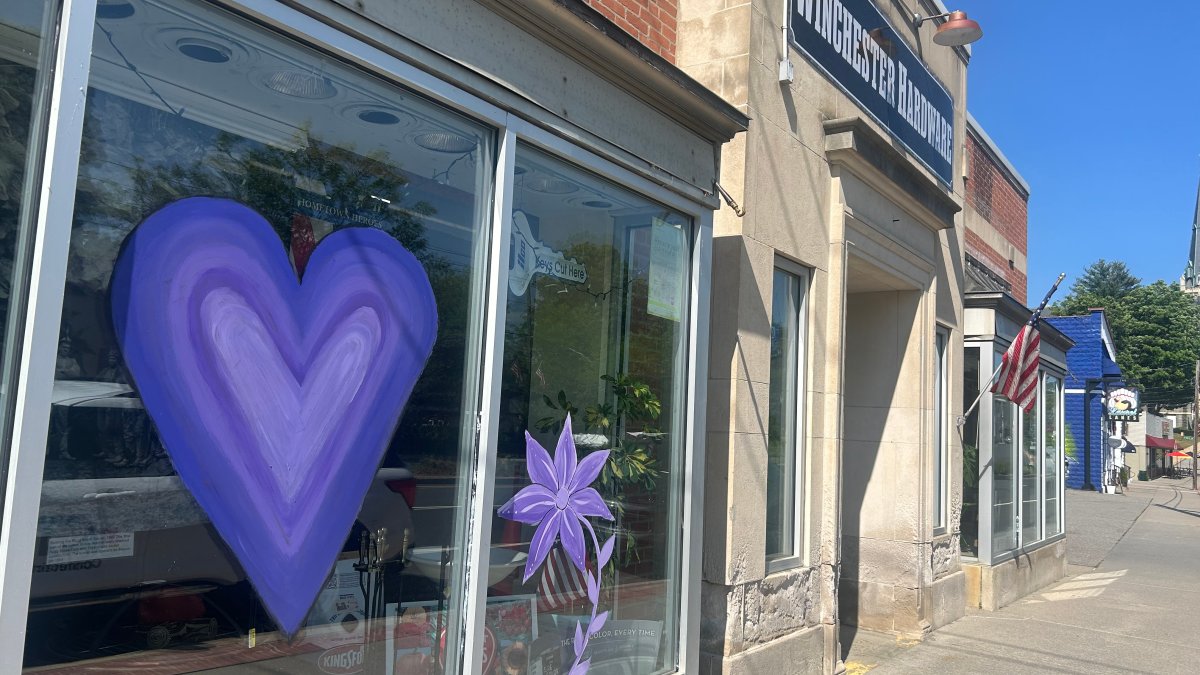 Winsted shines purple in honor of killed business owner for domestic violence awareness