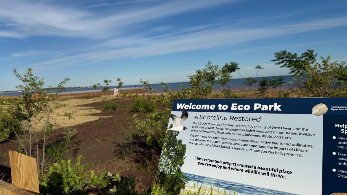 West Haven unveils restored piece of shoreline called Eco Park