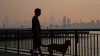 Wildfire smoke kills tens of thousands of people a year. Here's how it attacks the body