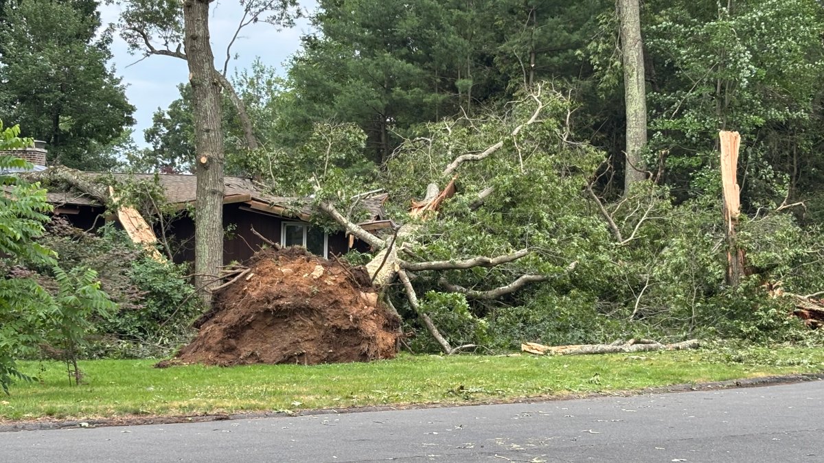 Storm damage leaves Bristol homes hit by trees, power lines down