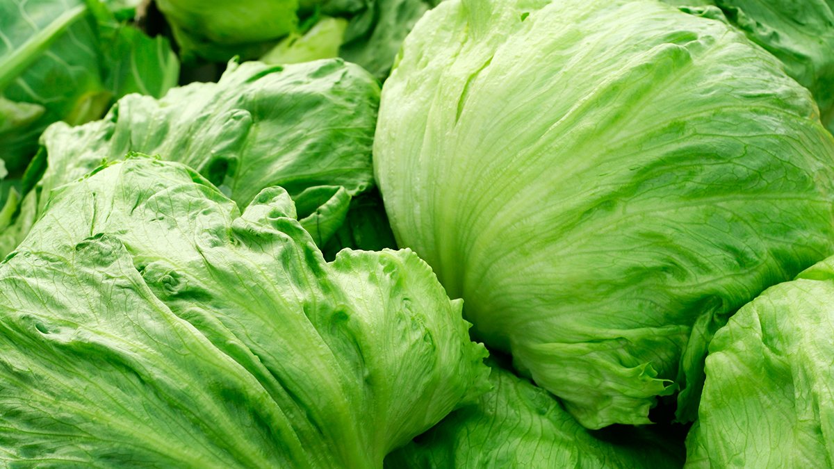 Taylor Farms recalls iceberg lettuce amid cyclosporiasis outbreak – NBC