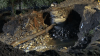 Second water main break on Tompkins St. in Waterbury