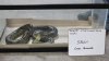 Nearly 50 reptiles, including venomous snakes, seized in Hamden