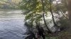 Teen rescued after jumping into Lake Zoar in Oxford: Officials
