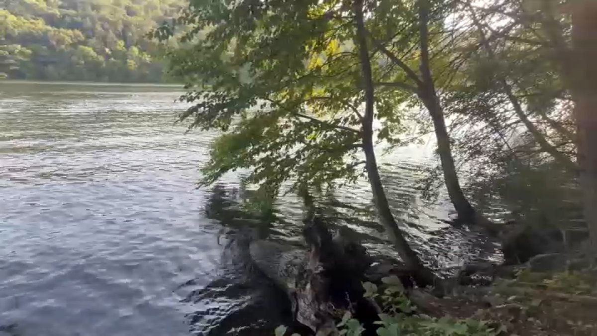 Teen rescued after jumping into Lake Zoar in Oxford: Officials