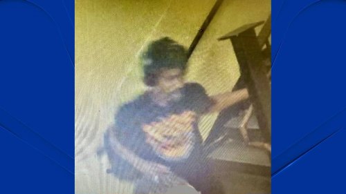 Police work to ID alleged suspect in voyeurism incident at South ...