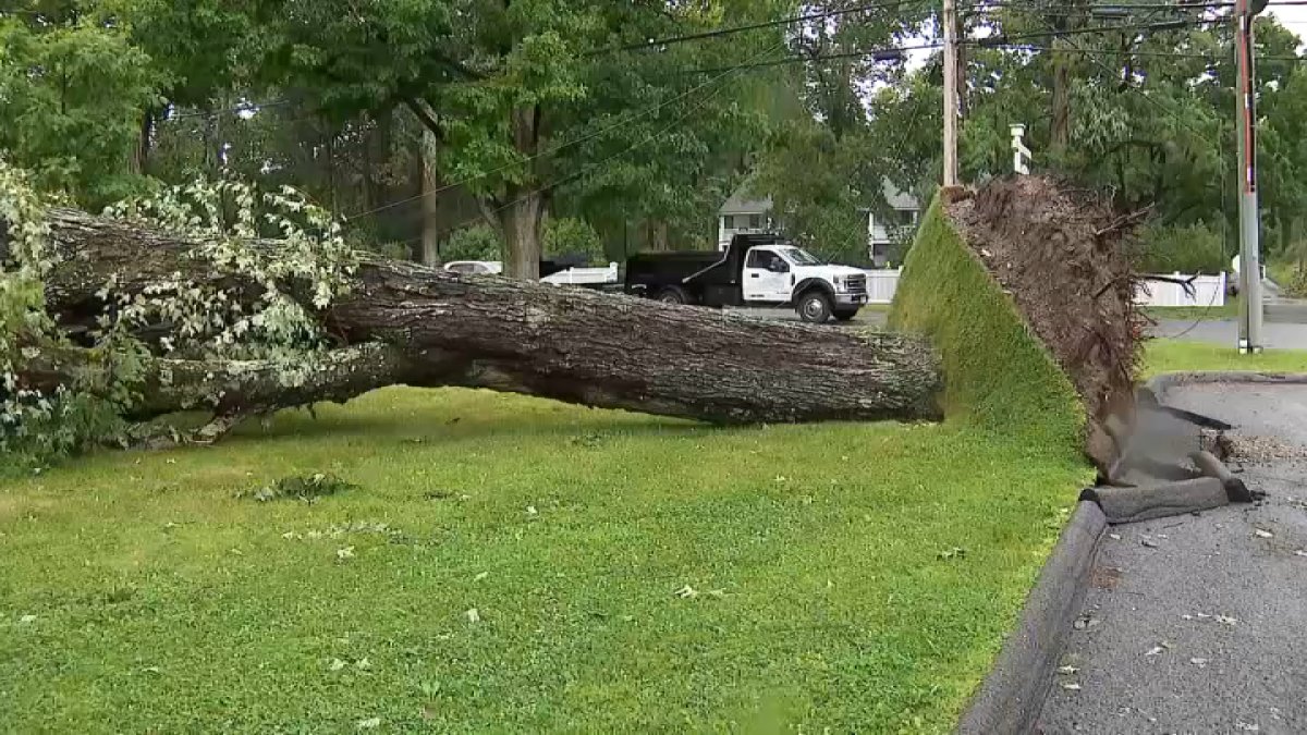 Utilities prepare for potential storm outages this weekend after July 4 severe weather