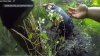 8-year-old boy rescued by Vernon police in swampy, dangerous conditions