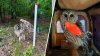 Barred owl's wing becomes impaled in wires from plumbing snake in West Hartford