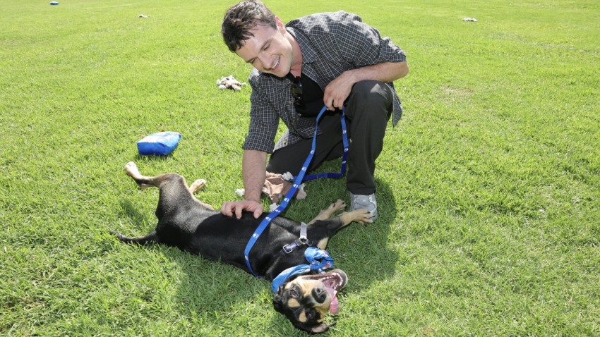 Josh Hutcherson interacts with a dog at the spcaLA in Long Beach, California.
