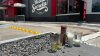 Gunman kills a Mexican social media influencer during a livestream