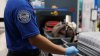 The TSA rule that's leaving kids in tears at airport security