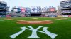 Woman sues Yankees for $10M after getting struck in the head by a bat