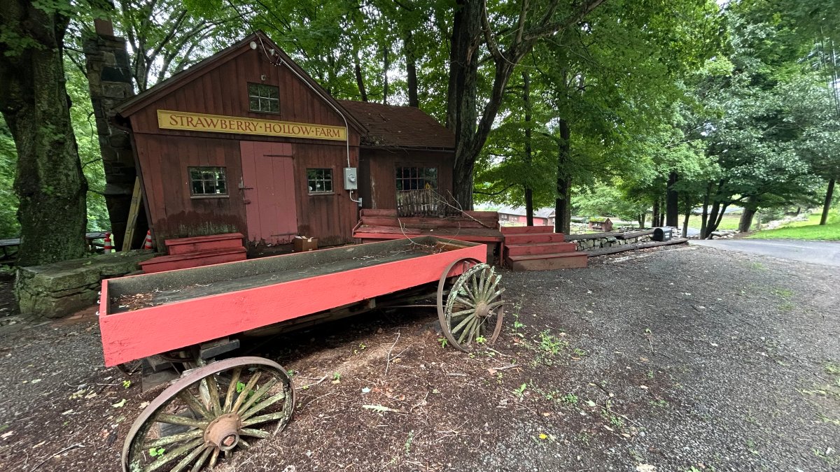 Strawberry Hollow Farm to close after 60 years in Guilford