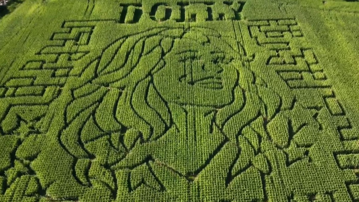 ‘A tribute to her legacy': Brookfield corn maze honors Dolly Parton