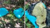 $5,000 reward offered to find whoever dumped 2 dead pitbulls in Wolcott
