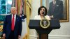 Trump: Jeanine Pirro ‘folded like an umbrella' in Reflecting Pool vandalism case