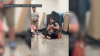 Dog missing for 12 years reunited with family in incredible scene