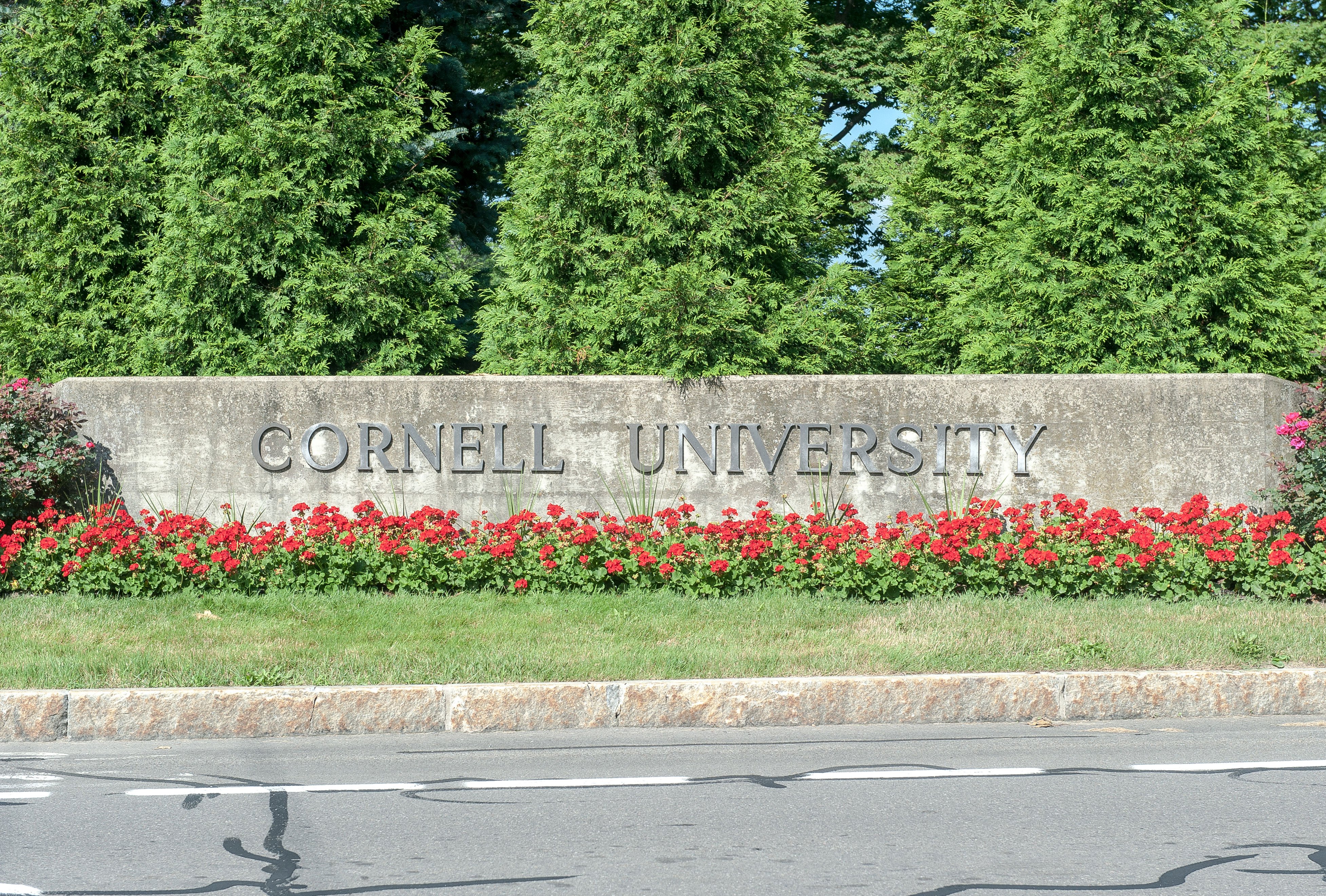 Tompkins County Prosecutor Reopens Fraternity Gang Rape Investigation Amid Lawsuit