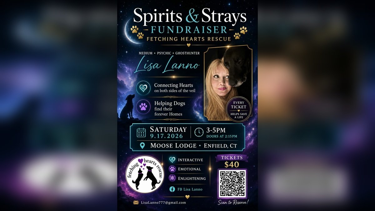 Spirits & Strays event to support Enfield dog rescue